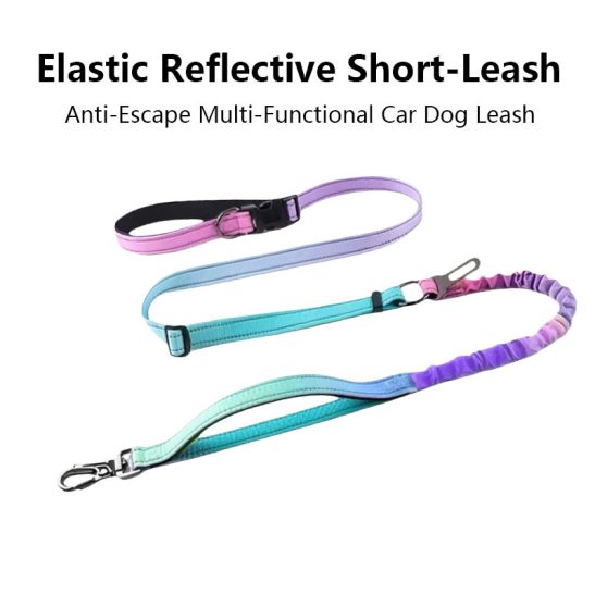 Hands-Free Dog Leash in a Blue-Pink Gradient: Adjustable, Elastic, And Reflective for Running And Walking