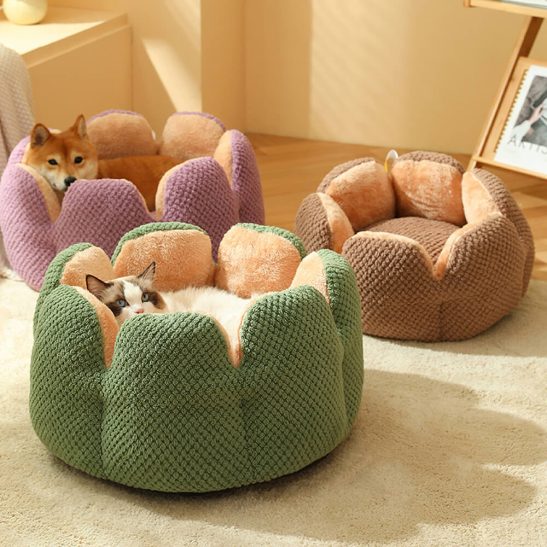 Pet Bed