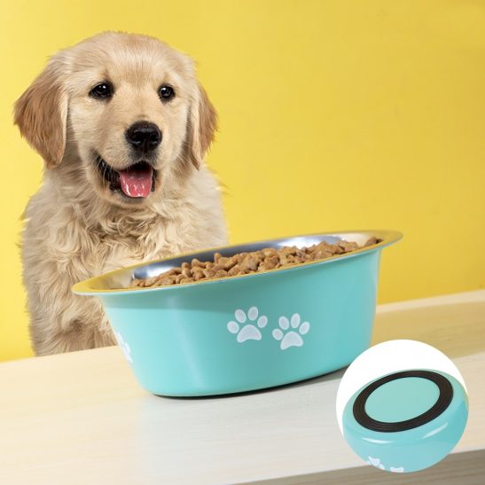 Pet Bowl