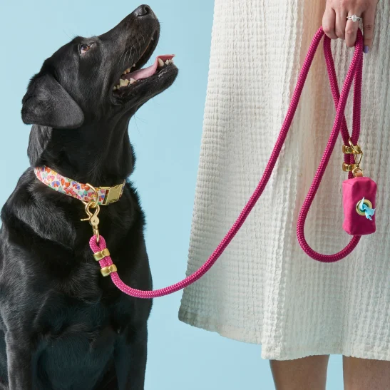 Pet Leash