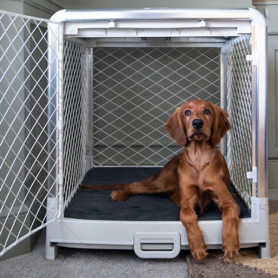 Pet Cage